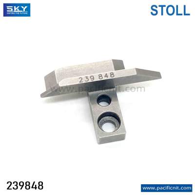 239848