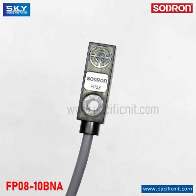 Density Sensor Iron FP08-10BNA