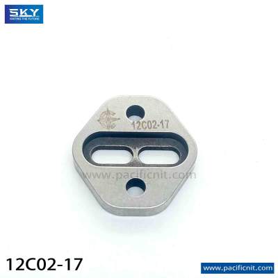 12C02-17 Golden Cam
