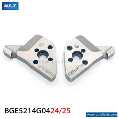 Stitch Cam BGE5214G0424-25