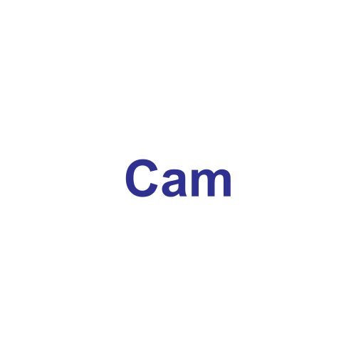 Cam