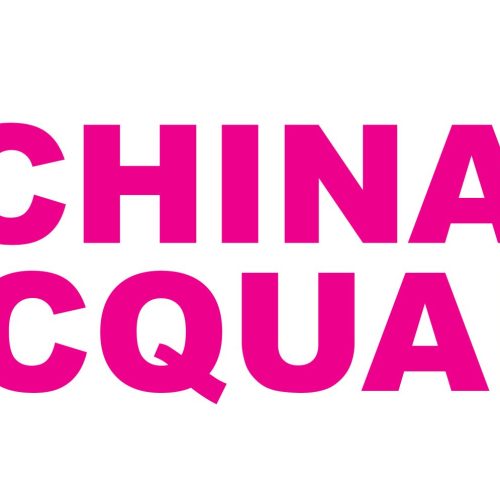 CHAINA JAQUARD